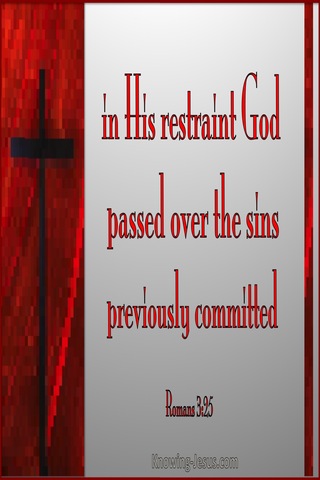 Romans 3:25 God Passed Over Sins (silver)